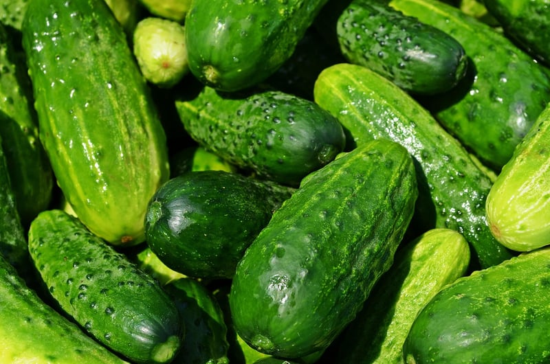 Organic Farming